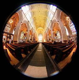 w255_bathfishDSCN5130